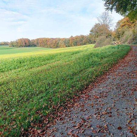 Haus Im Grunen Villa Billerbeck Bagian luar foto