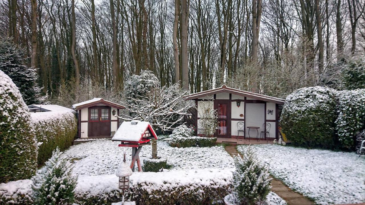 Haus Im Grunen Villa Billerbeck Bagian luar foto